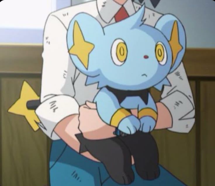 Screenshot of the Pokémon anime showing a shinx being held 