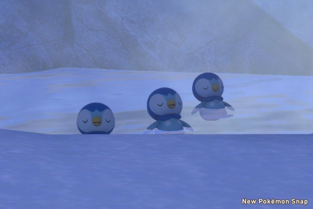 Picture of a group of piplup sleeping in a frozen lake in new Pokémon snap