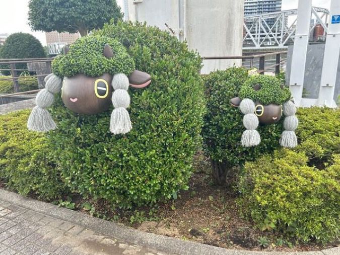 Picture of a couple of shrubs that are themed to look like the pokemon wooloo
