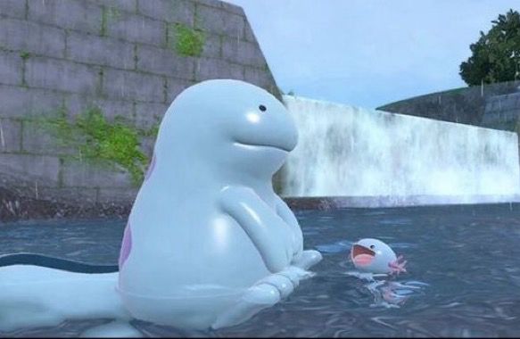 Screenshot of a quagsire and wooper sitting in a small body of water showing a wooper smiling big 
