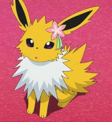 Screenshot of the Pokémon journeys anime showing a jolteon with a flower on its head sitting down