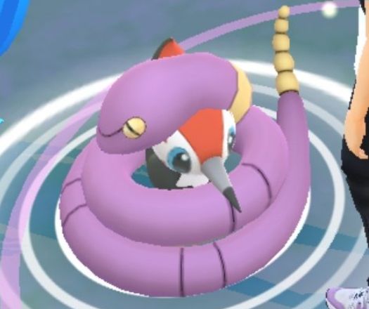 Screenshot of Pokémon go showing a ekans appearing to have caught a Pikipek