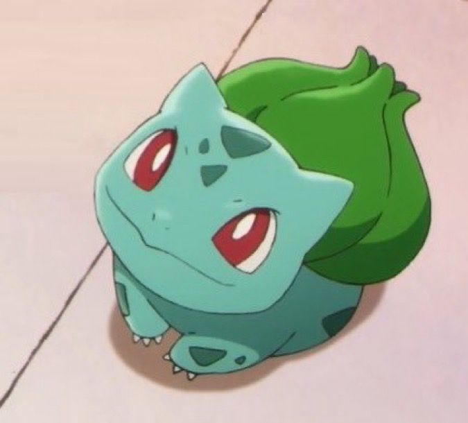Screenshot of the pokemon anime showing Bulbasaur sitting like a puppy 