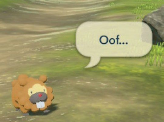 Screenshot of Pokémon legends Arceus in which a Bidoof says “Oof…”