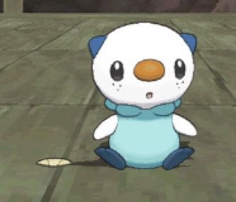 Screenshot of oshawott sitting in Pokémon Amie 