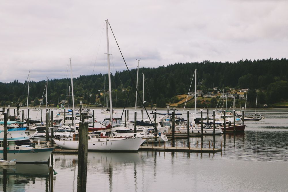 A pier lined with sail boats in a grey scaled landscape 