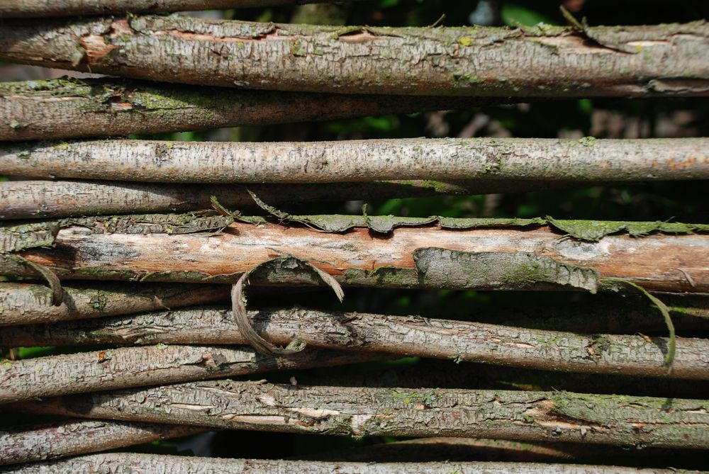 Een close-up stuk van een gevlochten takkenscherm. Op sommige plekken bladdert de schors van de takken af. De takken zijn onregelmatig van grootte maar vormen een interessant patroon.
