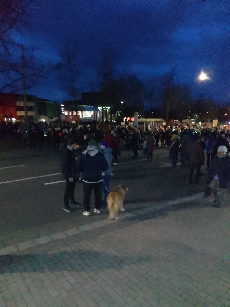 Demonstranten vor dem Wittener Saalbau gegen die AfD, die dort einen sogenannten Bürgerdialog abhält.