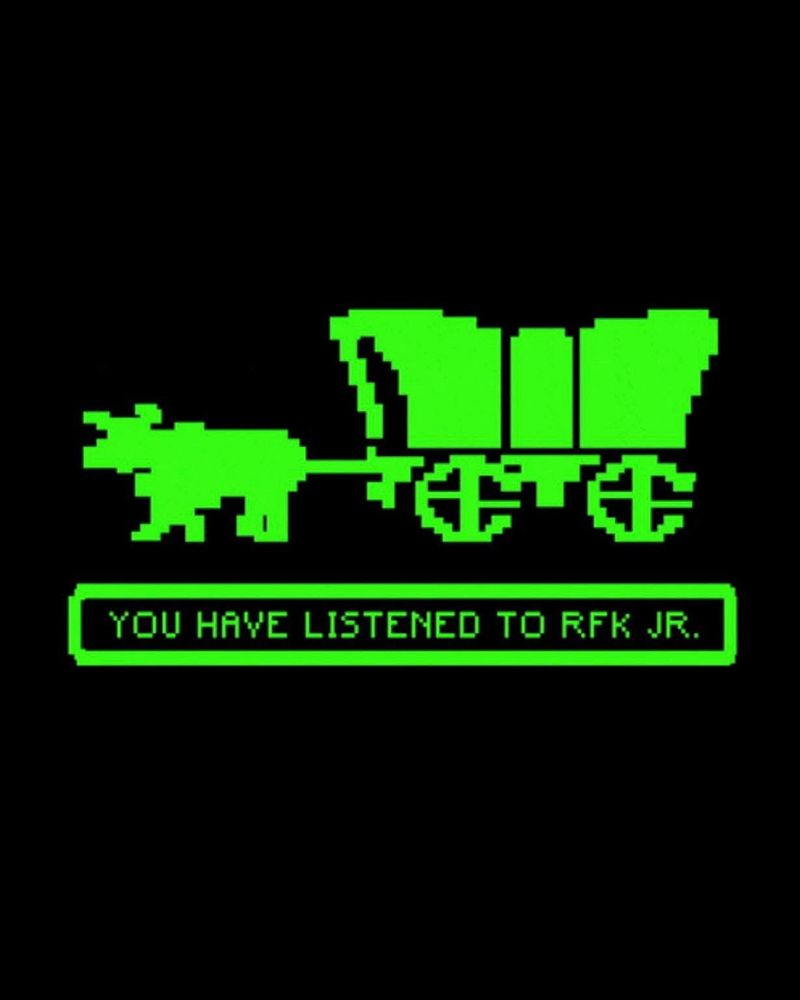 “You Have Died of Dysentery” meme from ‘Oregon Trail’, except the caption is rewritten to say “You Have Listened to RFK Jr.”