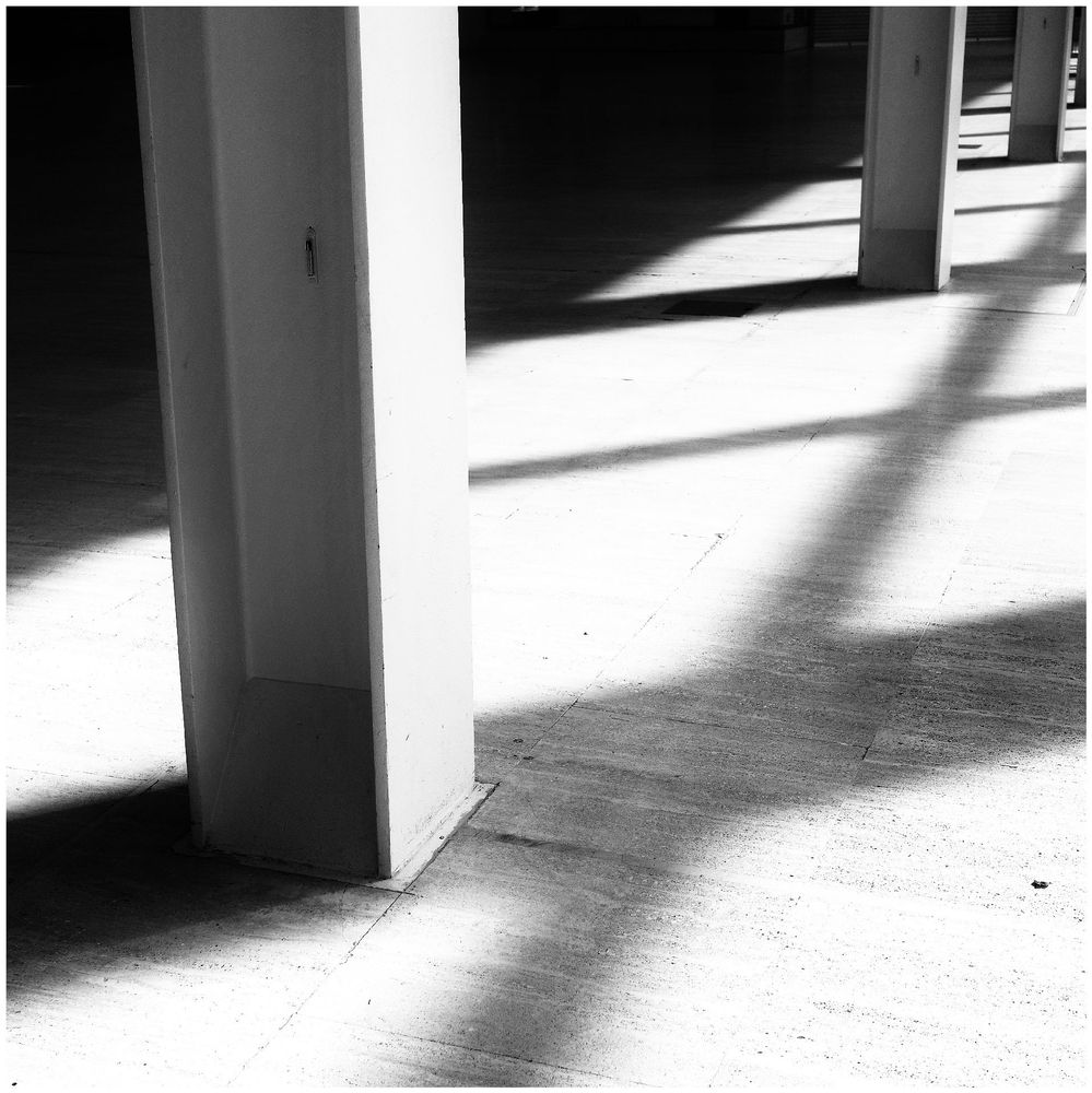Hi contrast mono shot of pillars and shadows