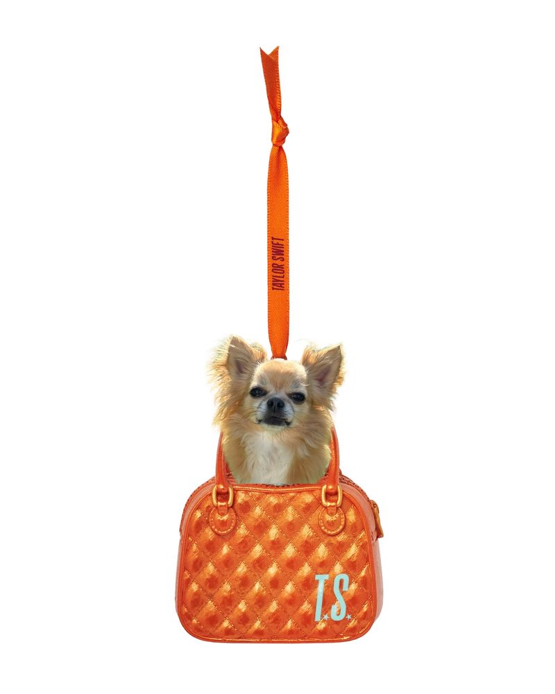 A picture of the Taylor swift toy chihuahua barking at me from a tiny purse Christmas ornament. But instead of the ornament dog I edited so it’s my very own chihuahua