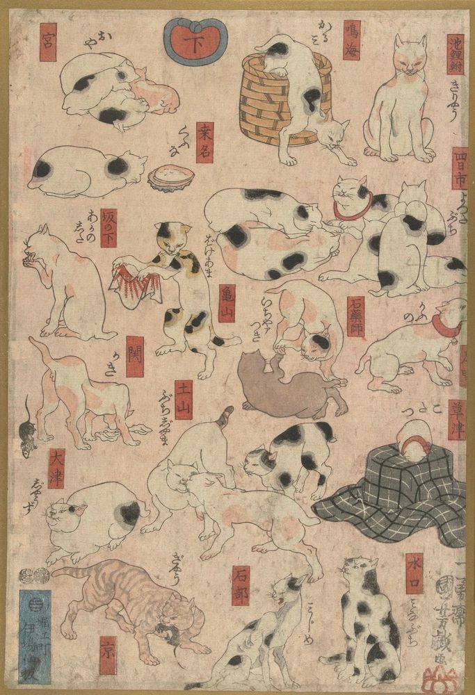 Japanese ukiyo-e print in a pale pink background depicting a selection of mostly white cats with black patches. They are in a variety of poses.