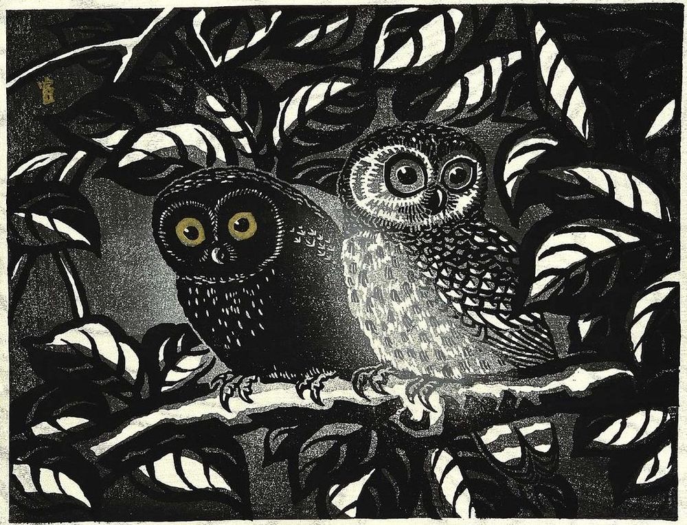 Two owls sit on a branch surrounded by leaves. 