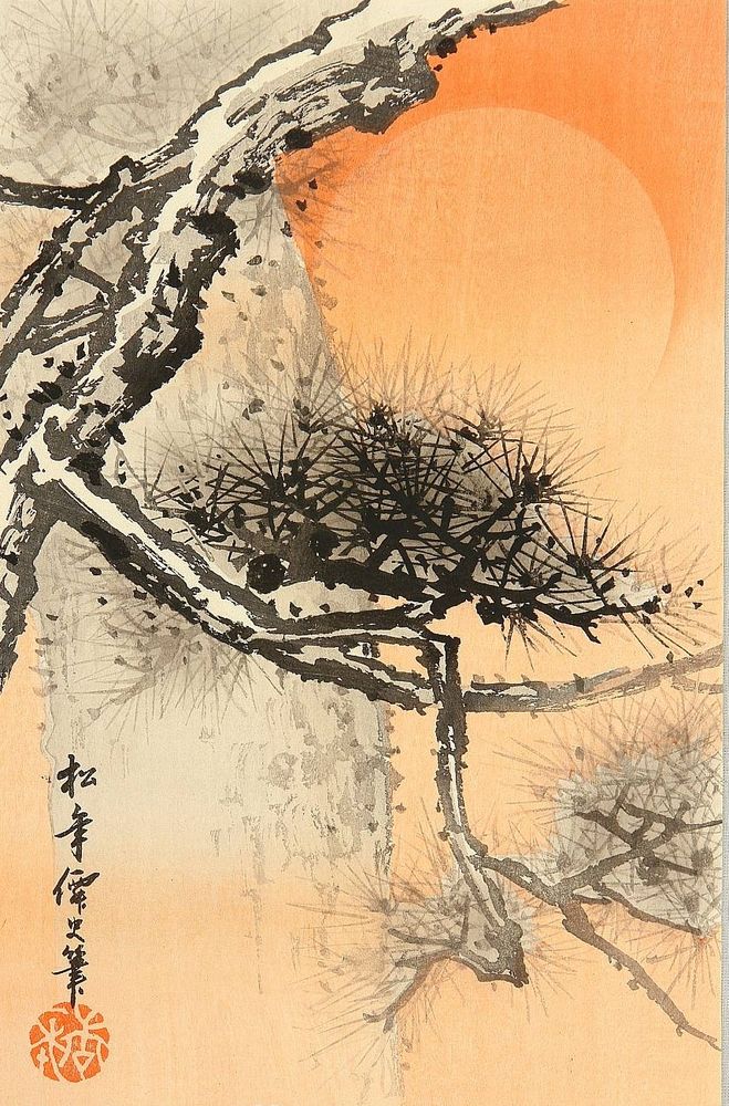 An old pine tree in the foreground with a large sun rising behind, creating an orange haze.