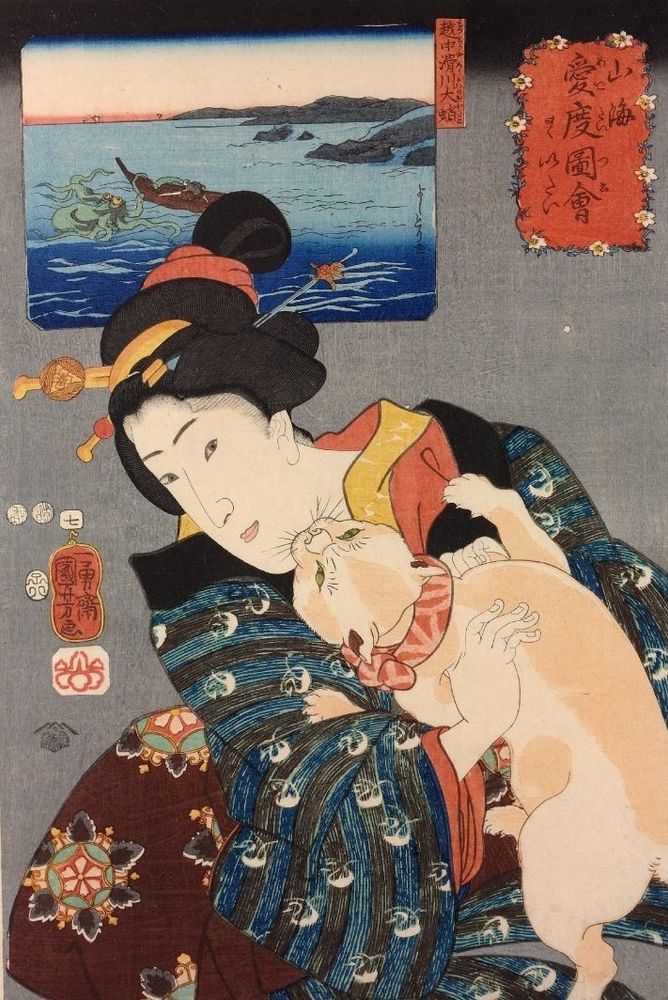 A cat climbs up a woman's clothing towards her face.