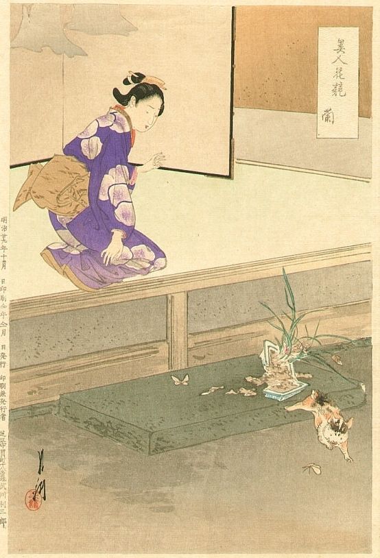 A cat is chasing a butterfly and behind it a vase of orchids has fallen and broken. A woman is kneeling nearby.