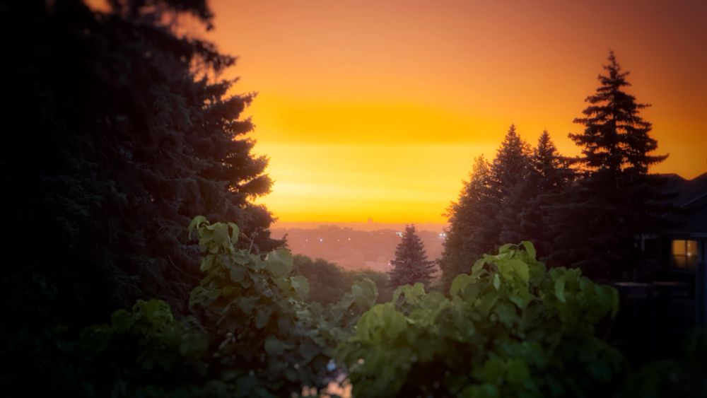 Golden sunset over green trees overlooking the countryside.