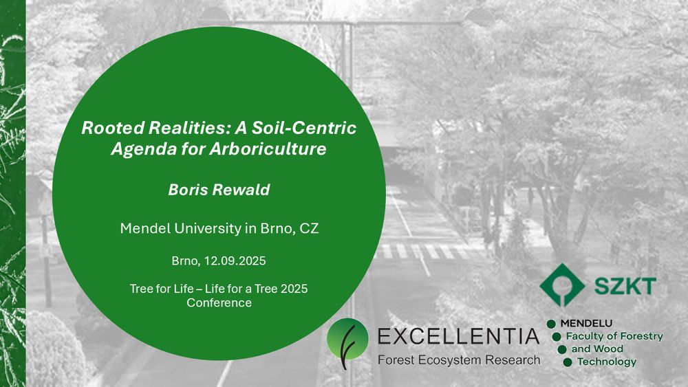 Titel slide of a keynote lecture on "Rooted Realities: A Soil-Centric Agenda for Arboriculture",  Tree for Life – Life for a Tree 2025 / "Risk" conference in Brno, CZ by Boris Rewald | lecture in English