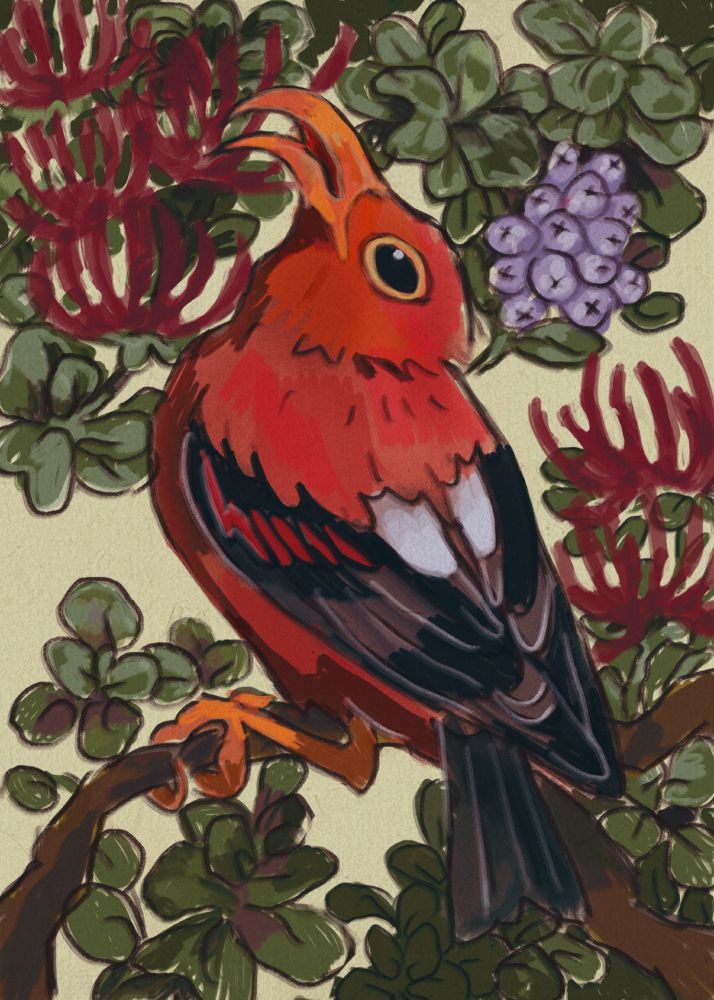 a digital drawing of a ʻiʻiwi surrounded by foliage, flowers, and berries. 