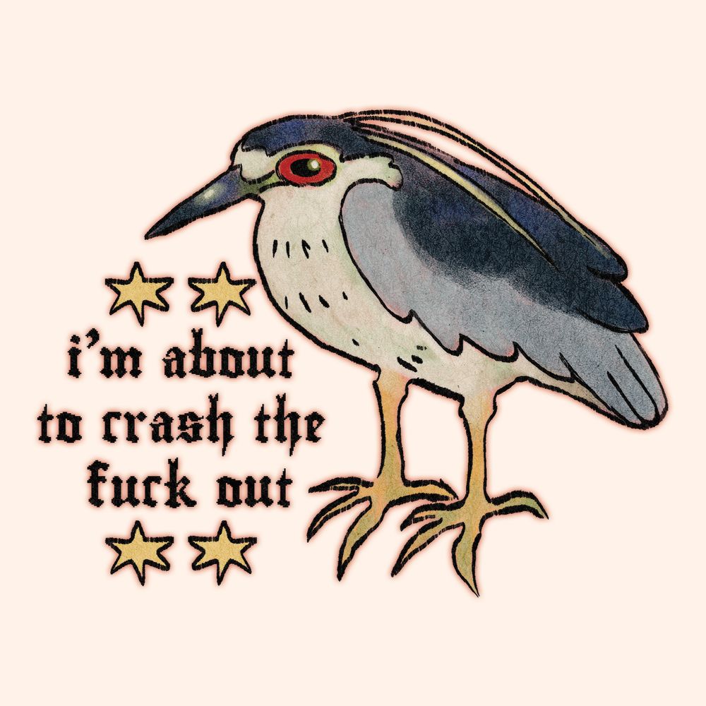 a digital painting of a night heron standing with "i'm about to crash the fuck out" in gothic pixel text beside them. it also has 2 stars on the top and bottom of the text