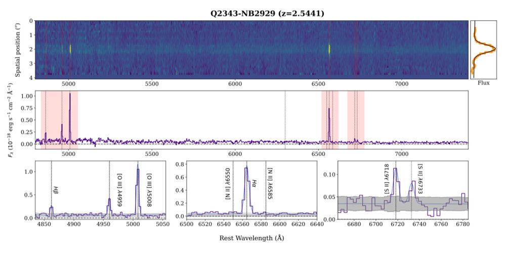 A multi-panel figure showing the spectrum of a single “dwarf” galaxy (NB2929) at 2=2.55. Top panel is the full 2D spectrum, middle panel is the full 1D spectrum, and the lower panel shows inset regions of specific emission lines. 