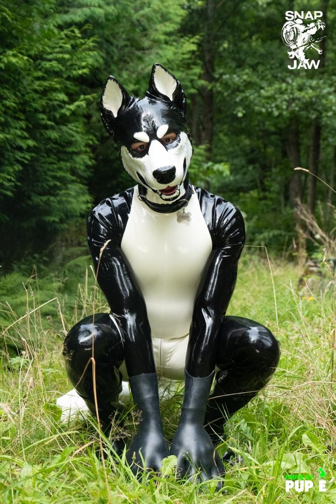 rubberdog