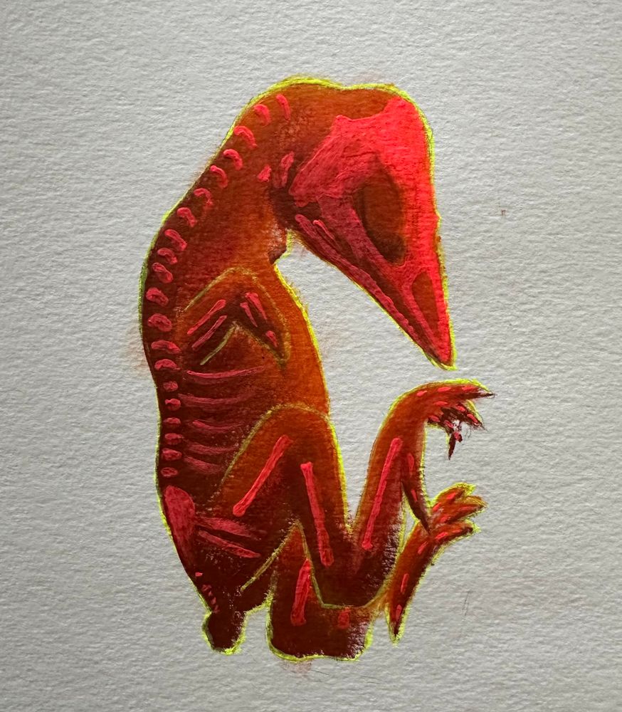 Sketch of a chicken embryo in day light