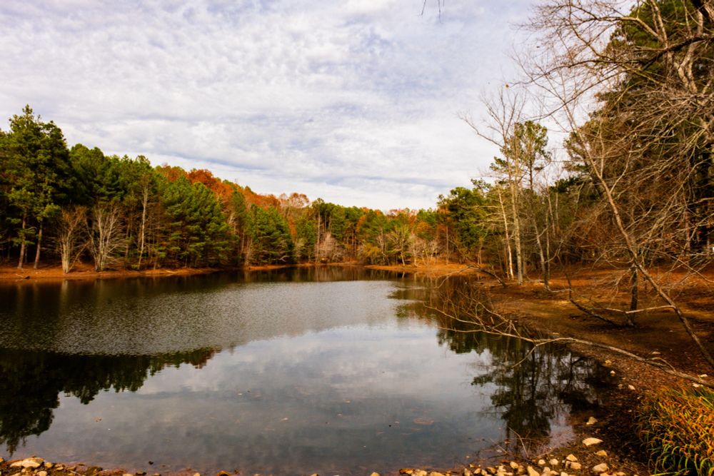 A photo of a local lake with fall foliage in the background