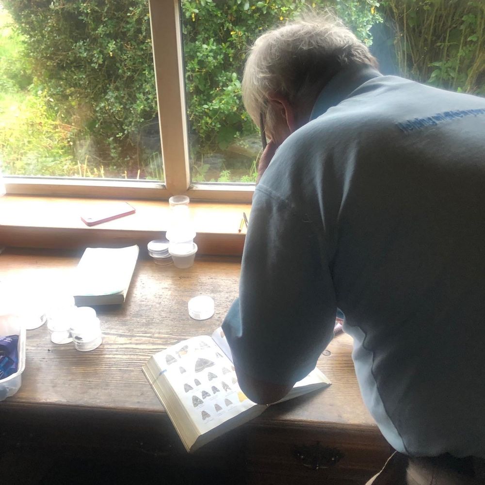 A white-haired man, John the Bird, stands with his back to us, poring over a moth-identification book in front of a large window, outside of which is a dense green bush.
