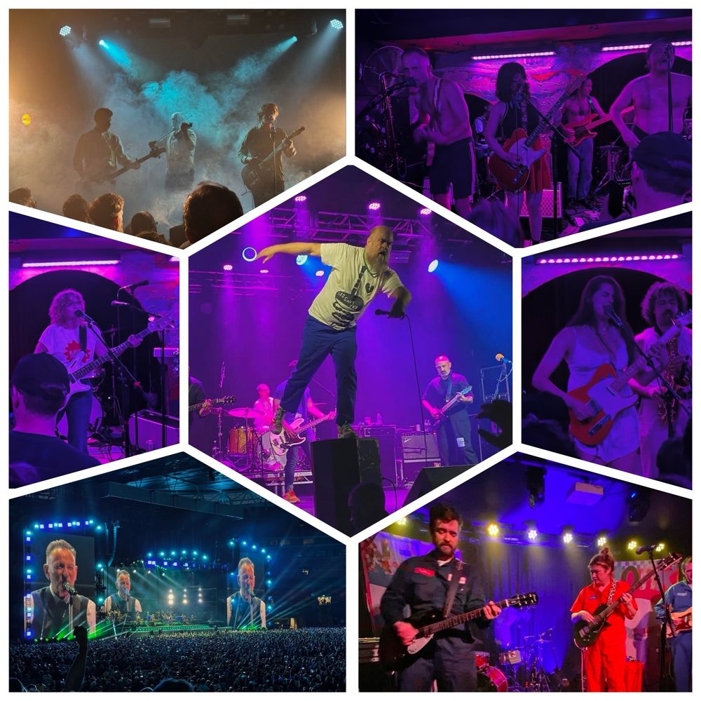 Montage of my top 5 gigs with Les Savy Fav in the centre, then clockwise from left; The Bug Club, Hope of the States, Personal Trainer, Modern Woman, Mathis & Ariel & Bruce Springsteen. 