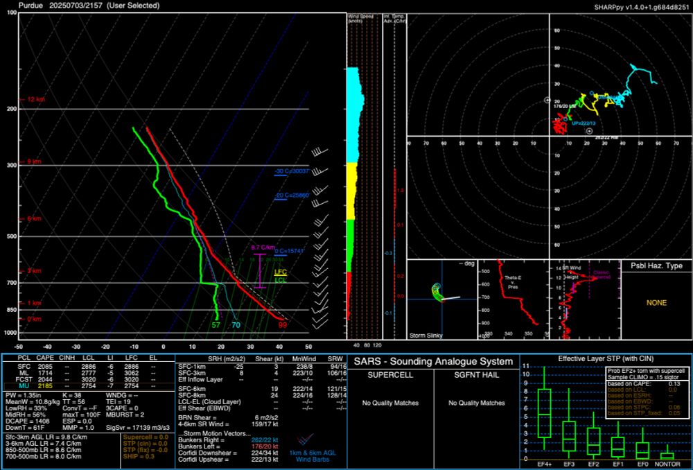 Skew T log p diagram showing a deep well mixed layer, and hodograph with very little deep layer shear.
