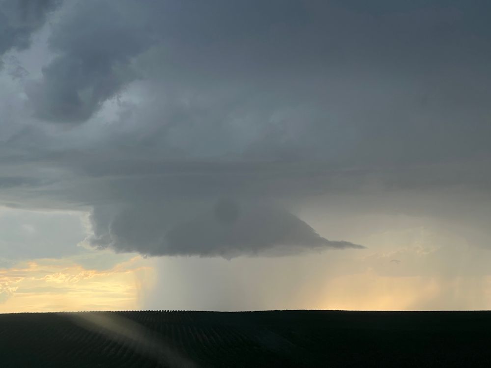 A bell shaped wall cloud 