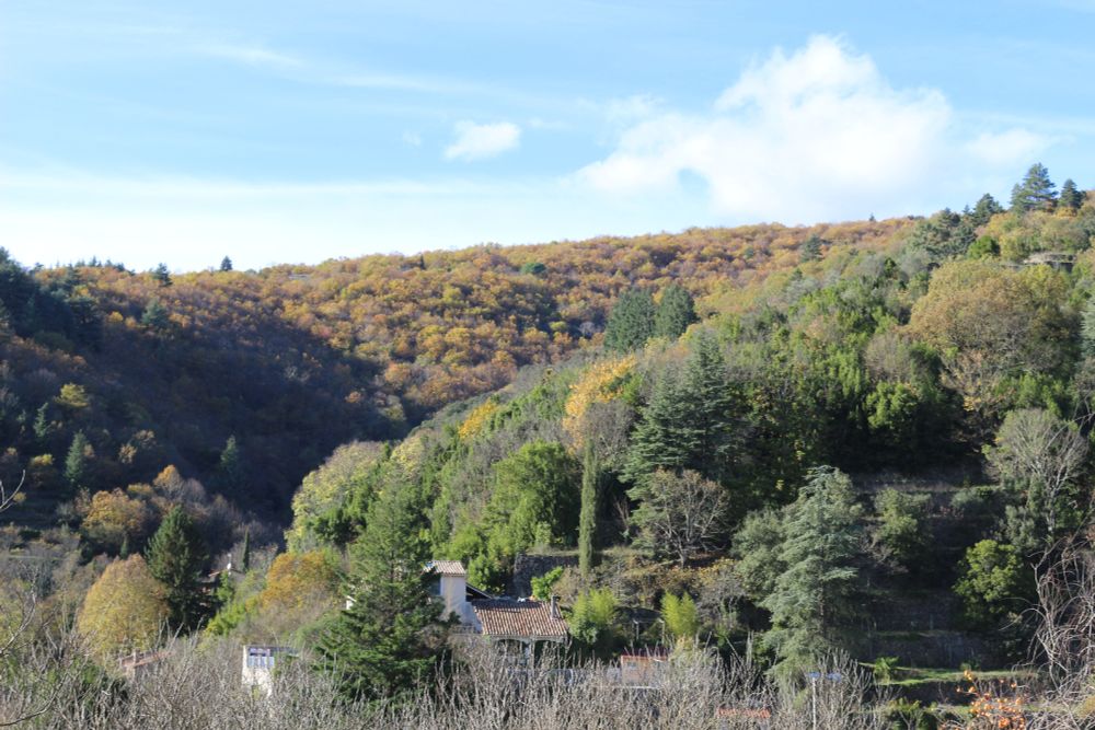 Photo de paysage montrant essentiellement une colline arborée, dans les tons encore bien vert même si du orange/jaune apparaît.
En bas on voit une partie d'un bâtiment et dans le coin droit le haut d'un plaqueminier avec ces fruits oranges.
