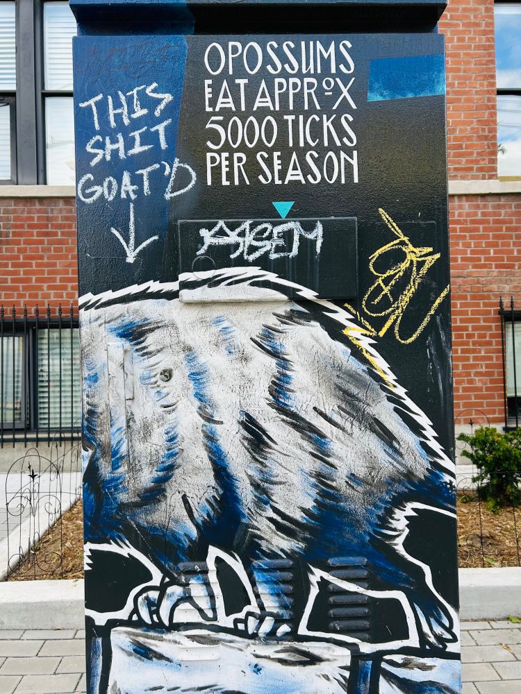An electrical box with a painted opossum on it. “Opposums eat approx 5000 ticks per season” it says. Someone else writes “this shit goat’d”