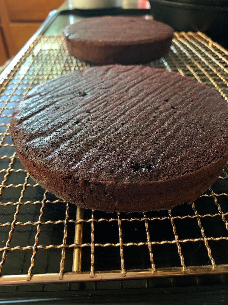 Two 6-inch round red velvet cakes are sitting on a golden cooling rack. 

The cakes are destined for a red velvet version of the animal mud bath cakes from Nailed It.