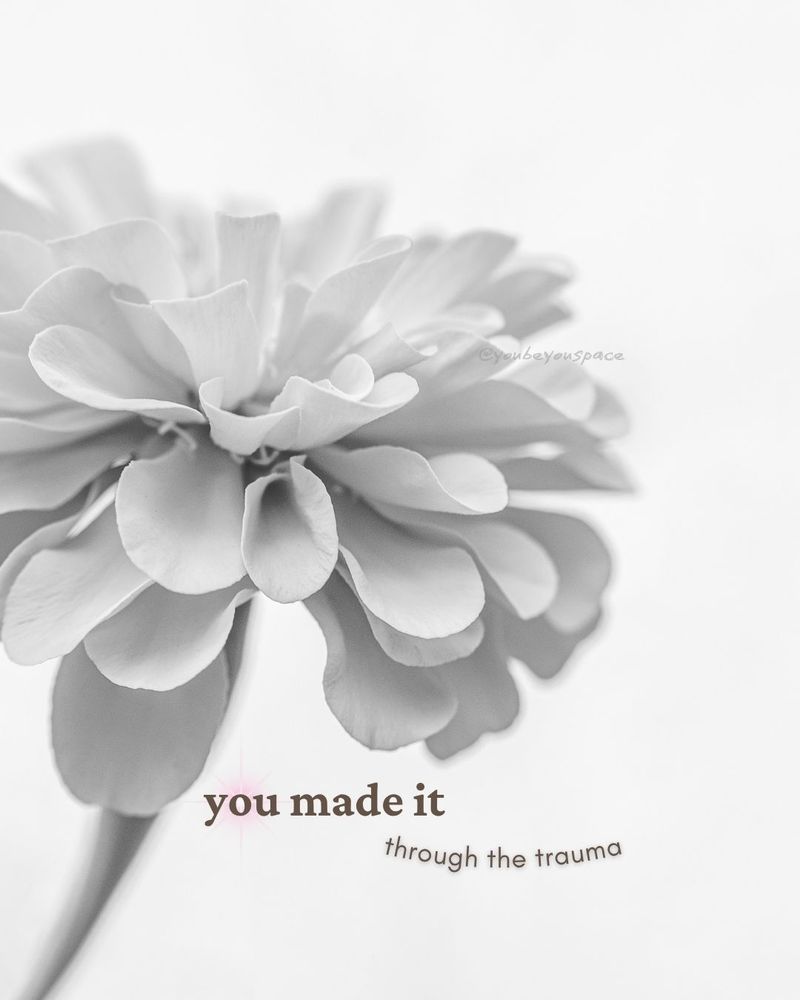Soft image of a single white pompom flower. Shot close but not enough to be called a macro shot. Framed to the left. All petals are blooming. You made it through the trauma is written and placed under it as a thoughtful nod to readers to let them know they are seen and that they matter.