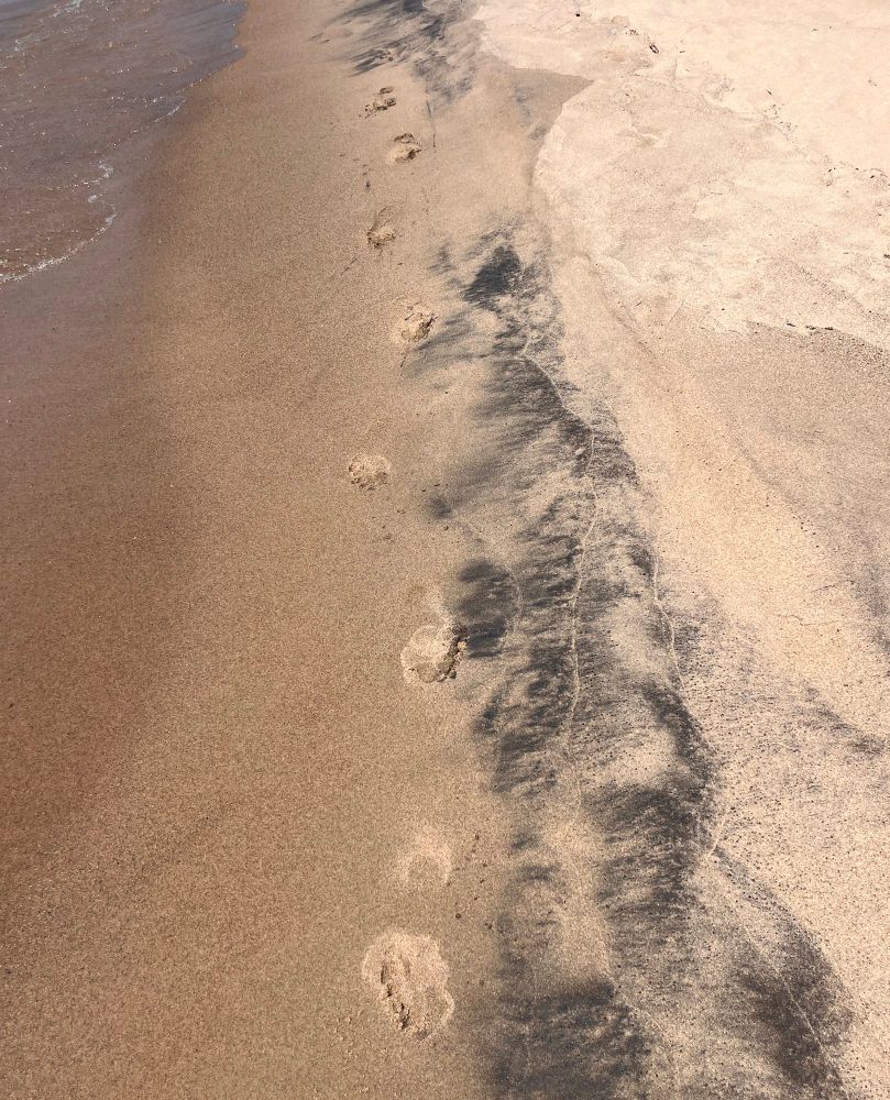 Footprints on the waterline of a Lake Michigan beach - mostly tan colored sand with some black streaks of magnetite. 