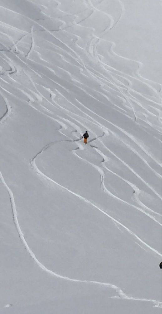 Traces de Ski en poudreuse