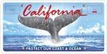 California license plate featuring the tail of a whale emerging from the ocean, with text "Protect Our Coast & Ocean."