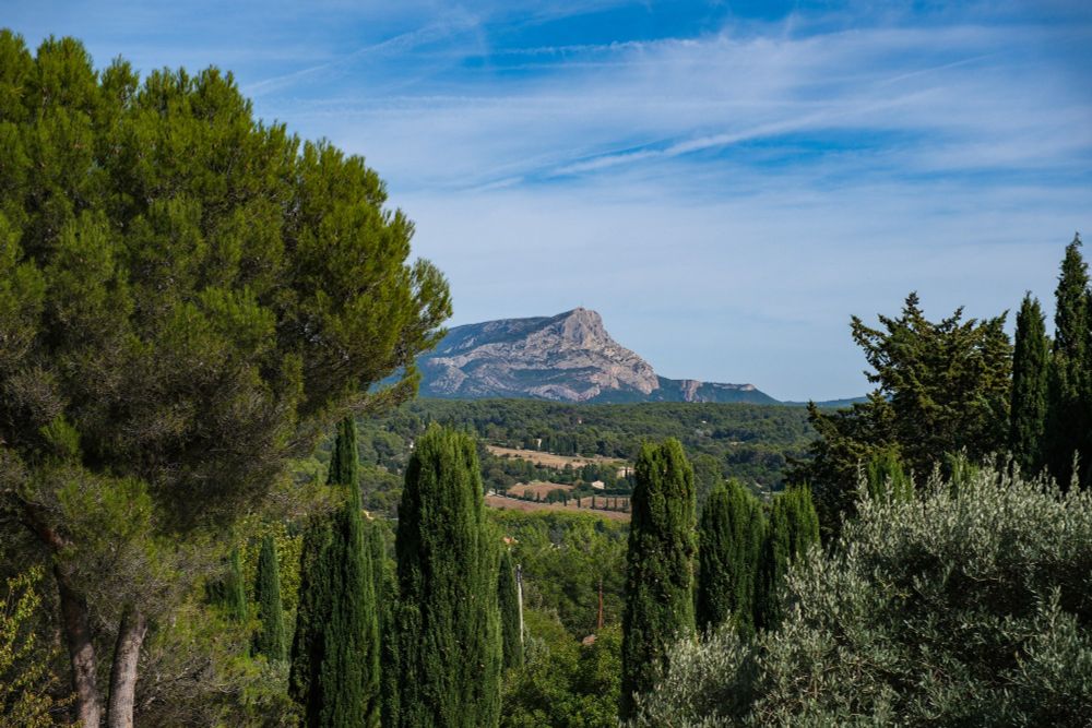 The photo shows a view of Mont Sainte-Victoire from a vantage point in Aix en Provence. There are a number of evergreens in the foreground and the mountain against the blue sky in the background. This mountain was particularly inspiring to Paul Cézanne who painted it repeatedly. 