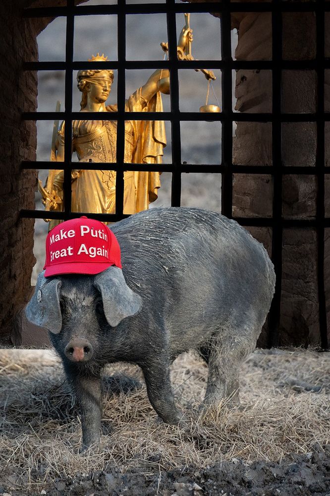 In Anlehnung an Orwells "Animal Farm": Ein Schwein mit einer Mütze auf der steht: Make Putin great again. Im Hintergrund eingekerkerte Justitia.