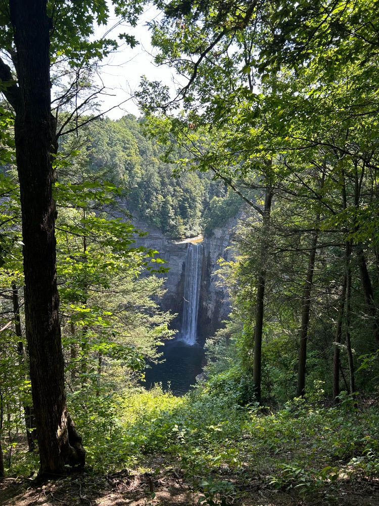 Waterfall viewed between the trees with a falcon flying. Leaves still green on the trees.