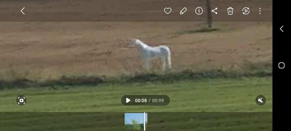 A303 Unicorn statue