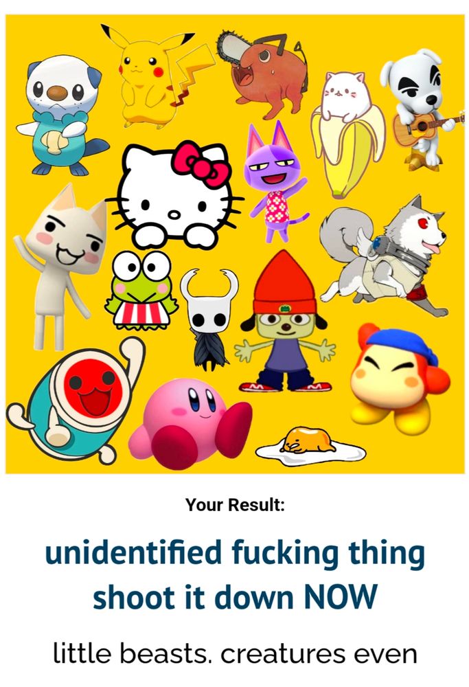 a bunch of little creatures. unidentified fucking thing shoot it down NOW. little beasts, creatures even.