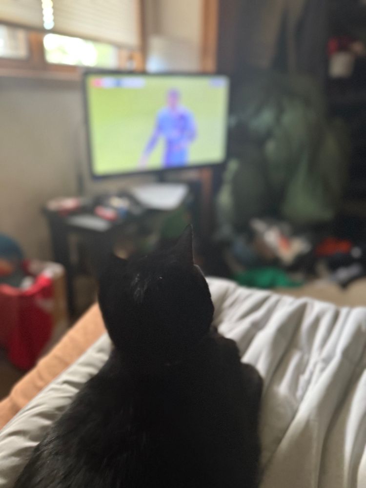 A cat sitting on the corner of a bed looks towards a nearby TV that displays soccer