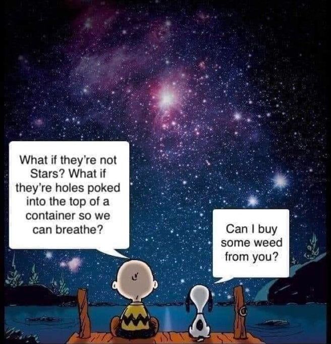 Snoopy Comic:

- what if they're not stars? What if they're holes poked into the top of a container so we can breath?

- can I buy some weed from you?
