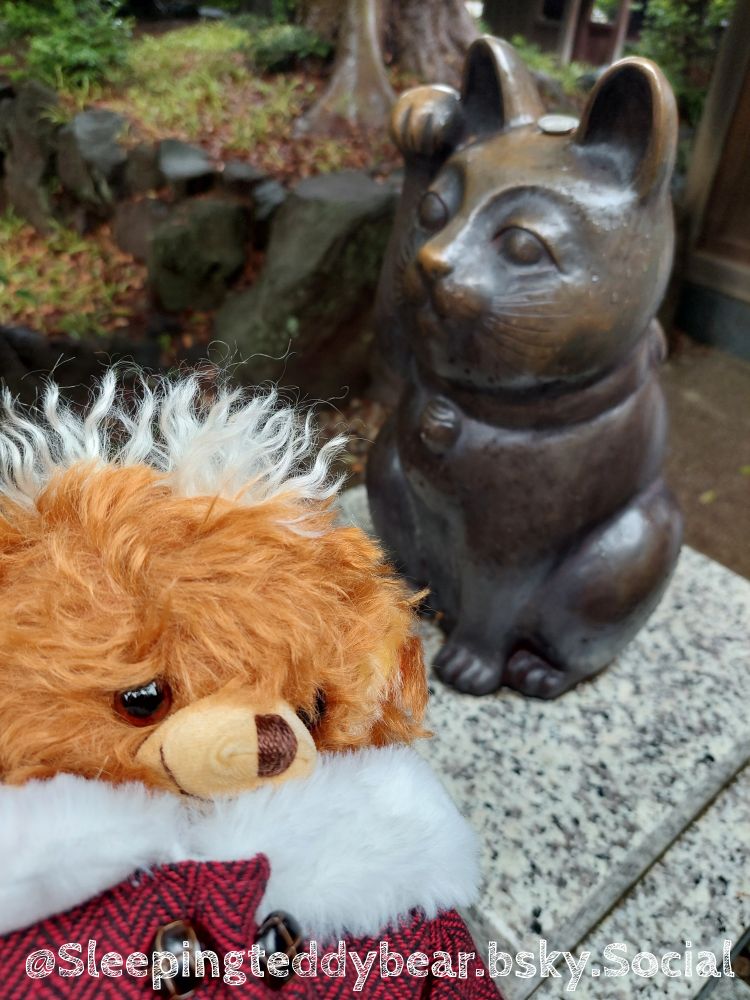 テディベア　ぬい撮り　ぬいぐるみ　メリーソート　写真　Photo