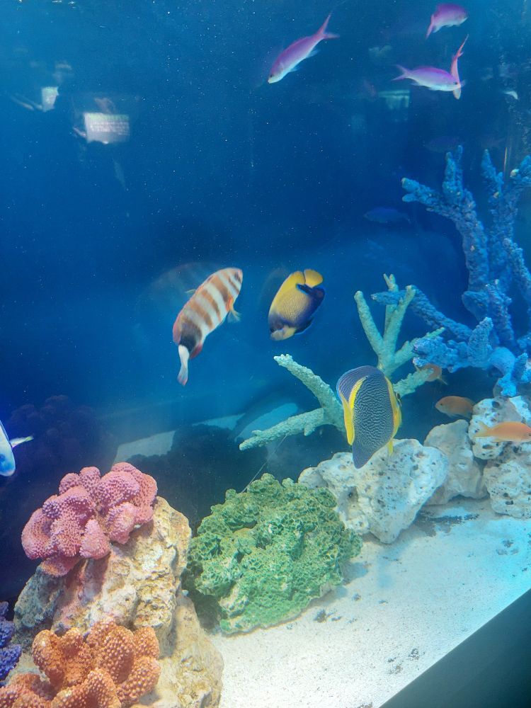 水族館