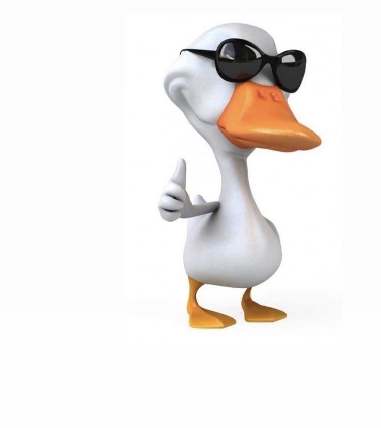 Comment image