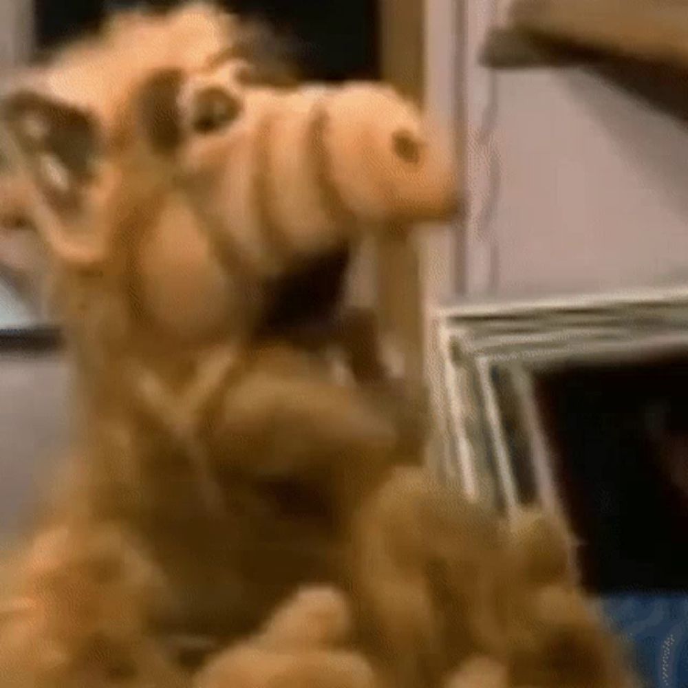 a close up of a stuffed animal that looks like alf from the sitcom alf from space .